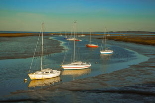 开云体育官方下载-兴隆湖上演“国际艇战”，多国精英争锋